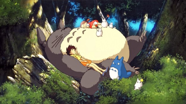 anime-neighbor-totoro_176258