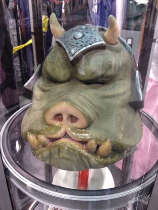 11053261_10203958214779942_2973905006582908154_o