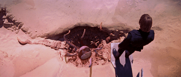 Brenna-Carkoon_Sarlacc_pit
